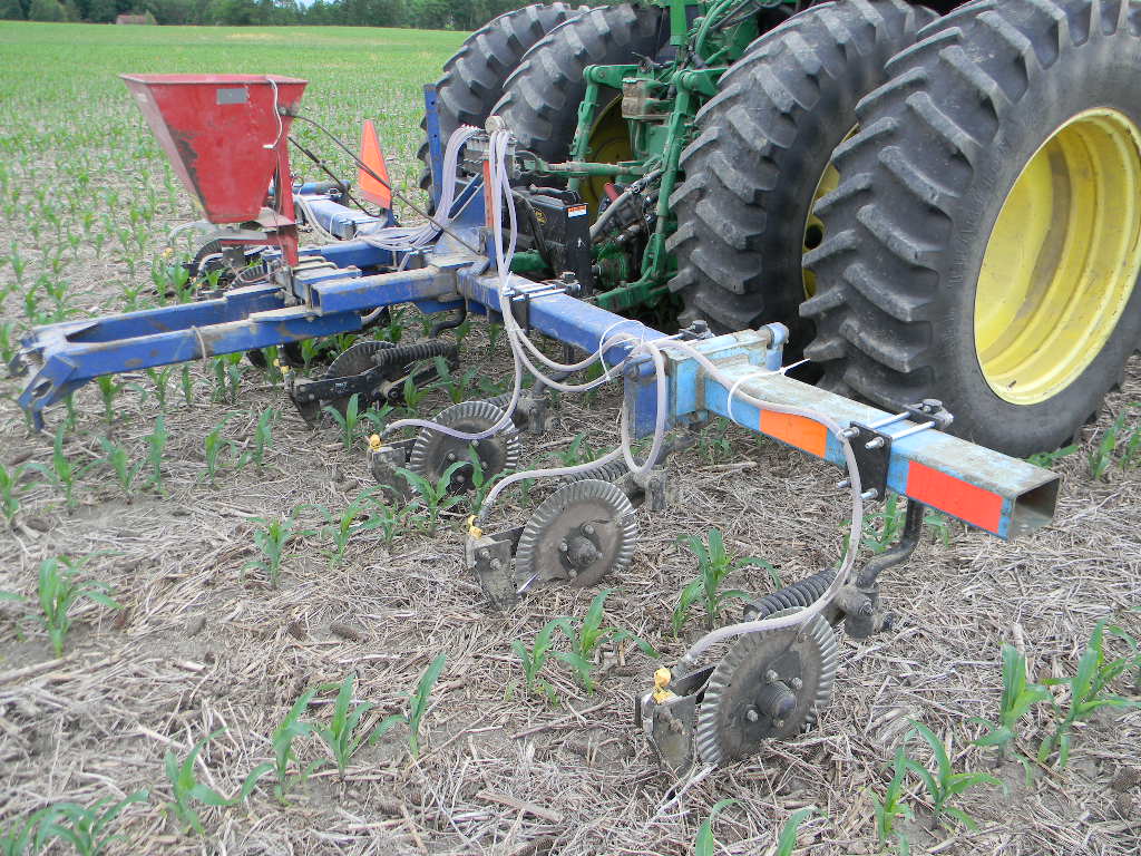 Rolling in the Clover