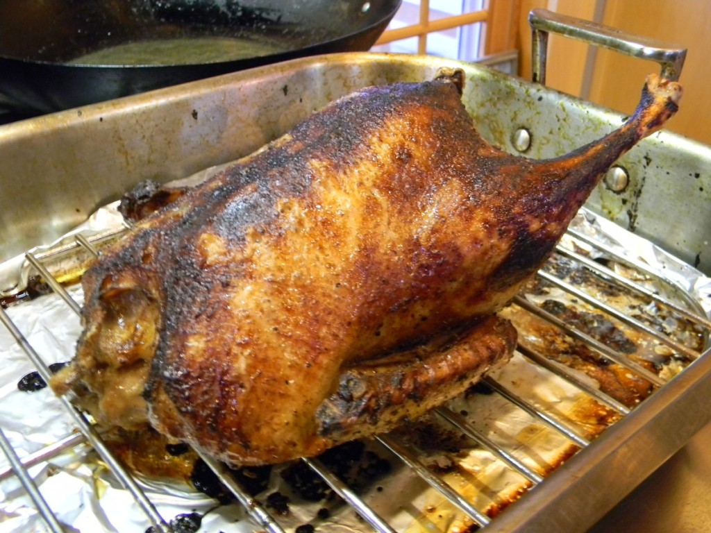 Twice Cooked Duck