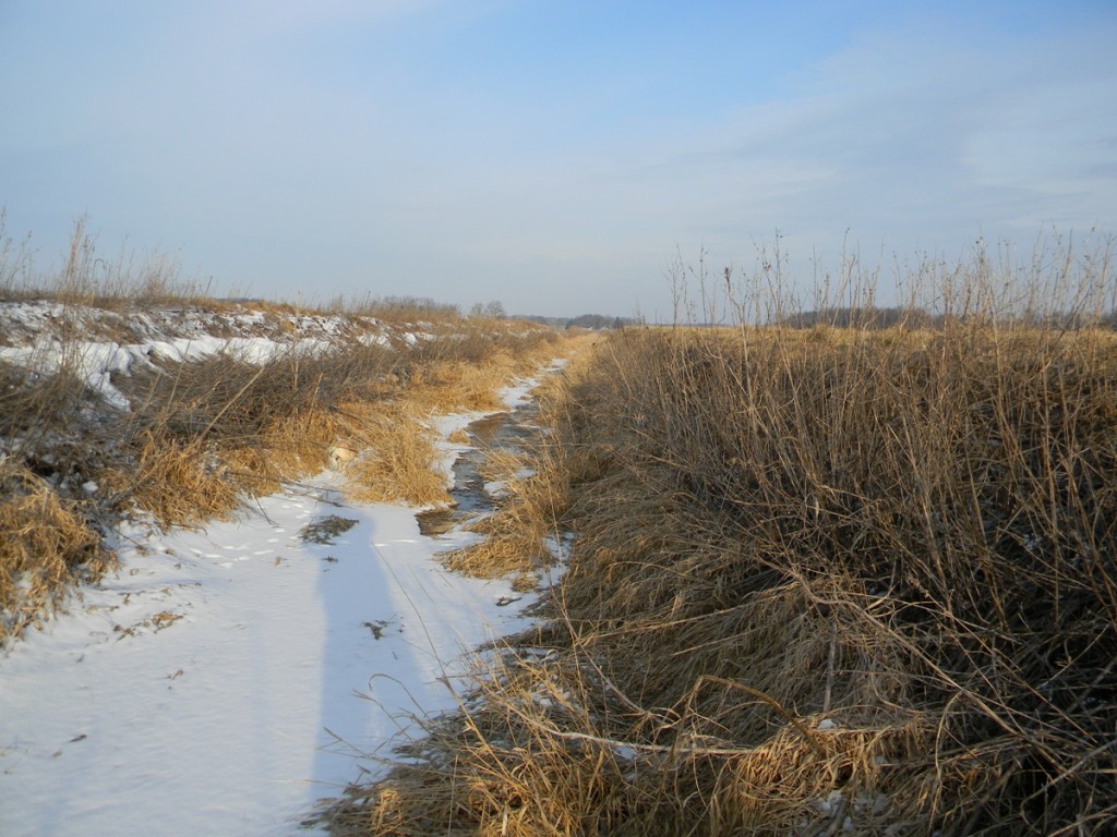 DSCN3333