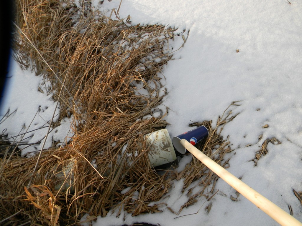 DSCN3335