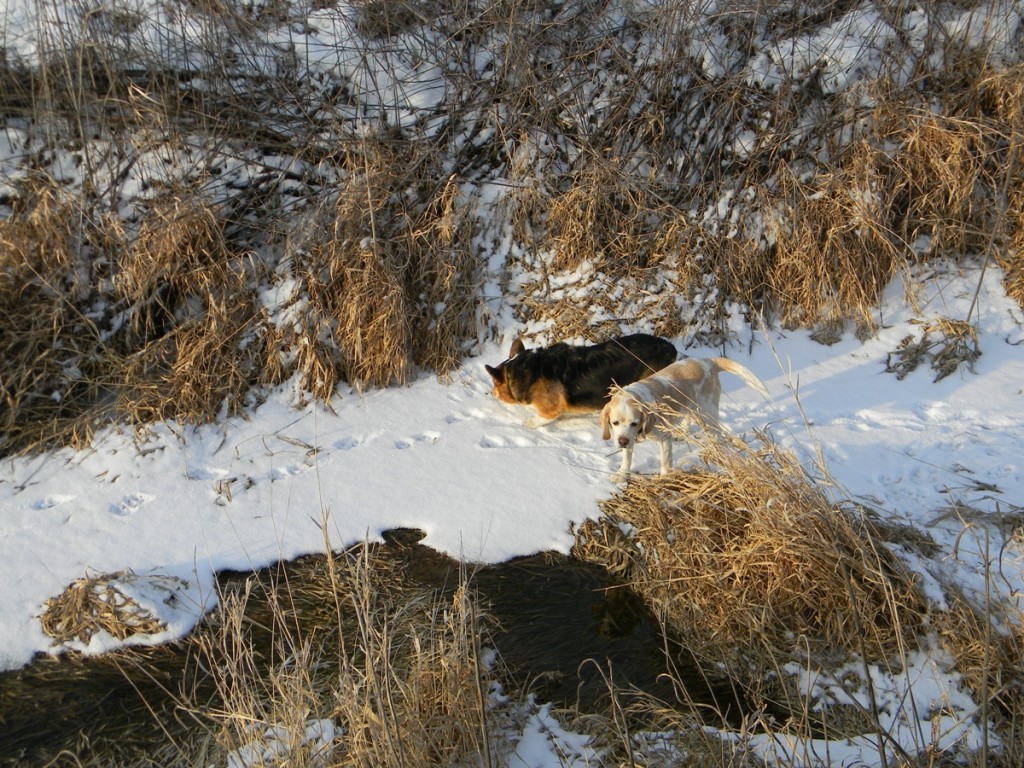 DSCN3343
