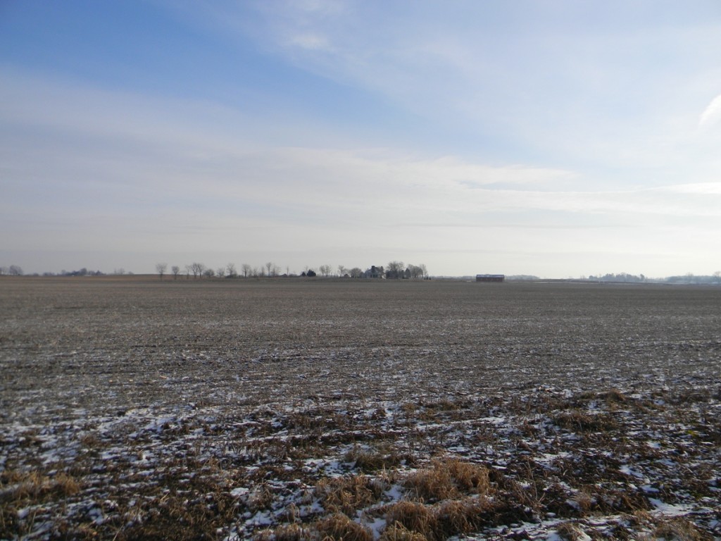 DSCN3345