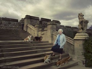 Queen's Corgis